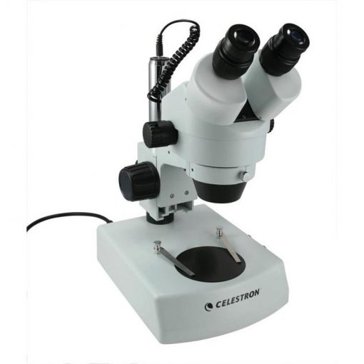 Kính hiển vi Celestron 44206 soi nổi hoặc quan sát qua tiêu bản